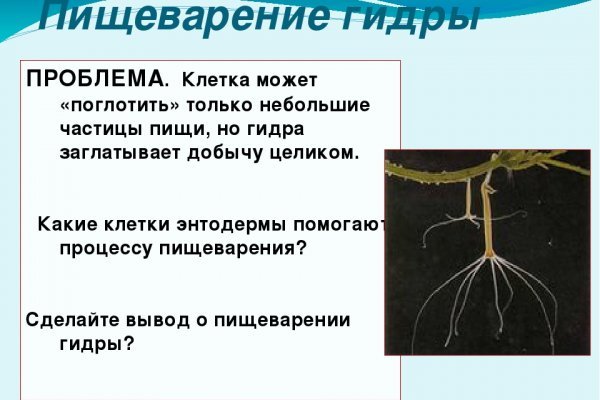 Кракен как зайти через тор браузер