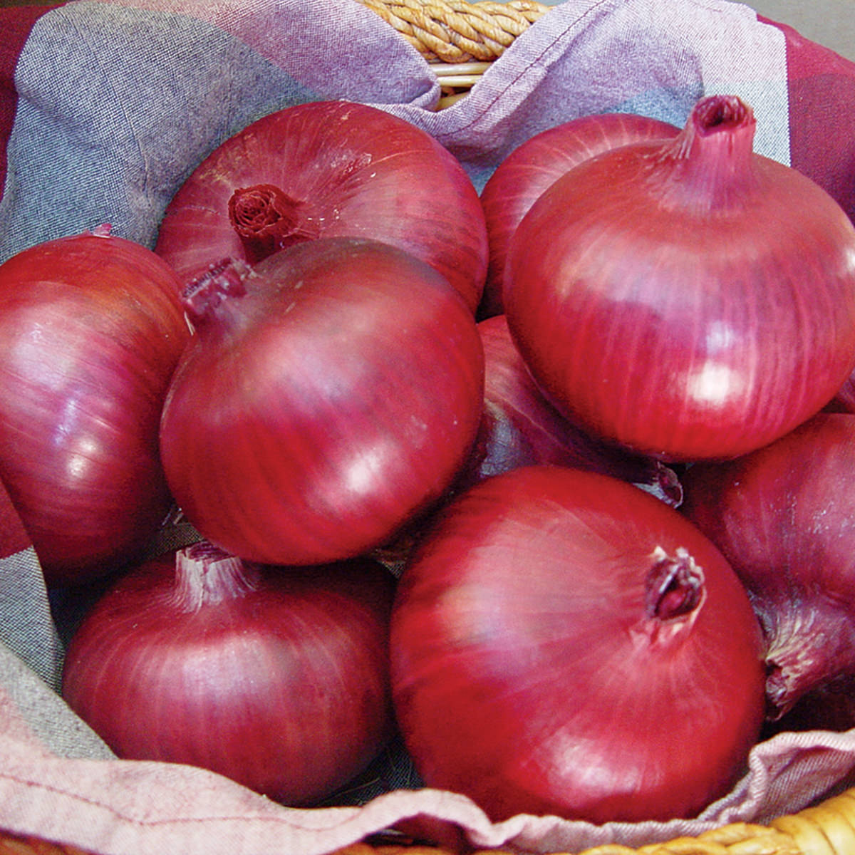 Проверенные ссылки на рамп onion top com