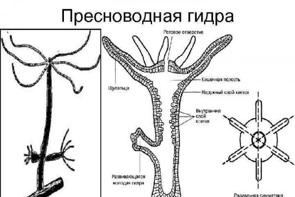 Кракен торговая площадка даркнет