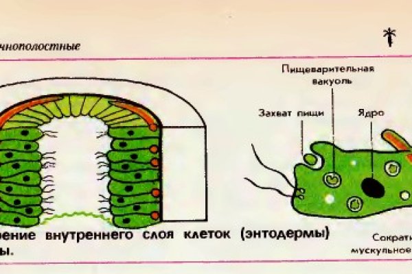 Кракен переходник ссылка