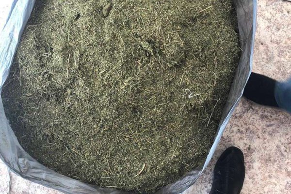 Ссылка на кракен 14ат