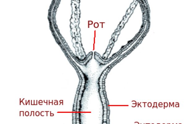 Ссылка кракен vtor run