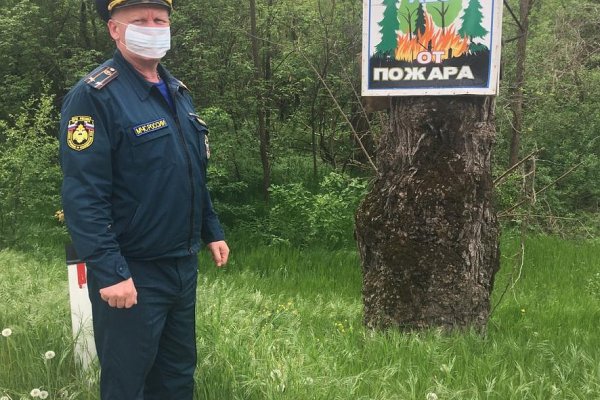 Можно ли вывести деньги с кракена